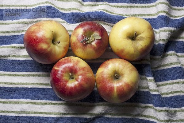 Mitsu Apfel (New Jersey  USA)