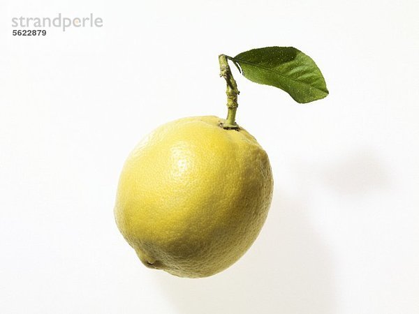 Eine Zitrone mit Stiel und Blatt