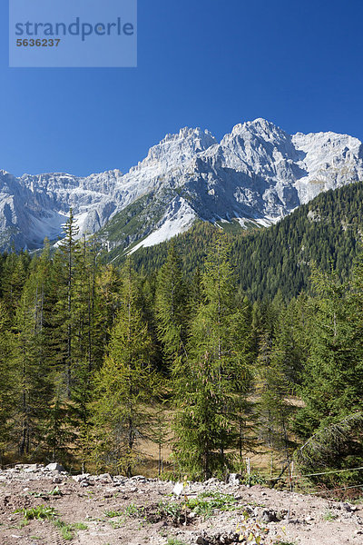 Dreischuster Spitze  Cima Tre Scarperi  3145 m  Sextener Dolomiten  Italien  Europa