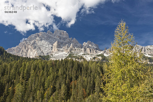 Gruppo dei Cadini  Auronzo di Cadore  Dolomiten  Italien  Europa