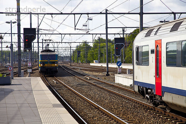 Zug in Ostende  Belgien  Europa