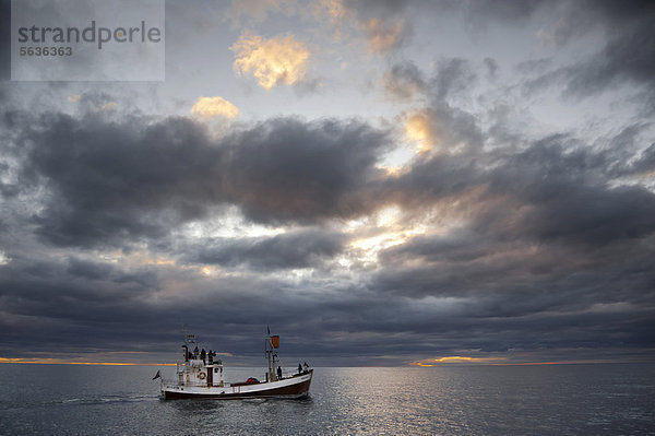 Segelboot zur Walbeobachtung in der Bucht Skj·lfandi bei H_savÌk  Nor_urland eystra  Nordurland  Nord-Ost-Island  Island  Europa