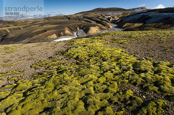 Moos und mit Schnee und Asche bedeckte Rhyolith-Berge am Wanderweg Laugavegur  Landmannalaugar-Hrafntinnusker  Fjallabak Naturschutzgebiet  Hochland  Island  Europa