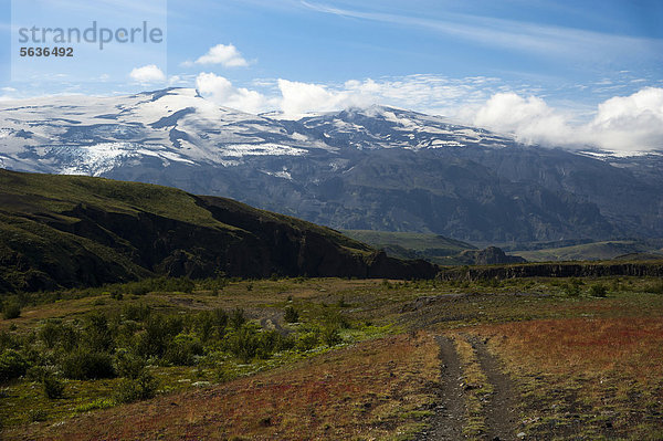 Wanderweg mit Blick auf Vulkan Eyjafjallajökull  Vegetation am Wanderweg Laugavegur  Emstrur-_Ûrsmörk  Thorsmörk  Hochland  Island  Europa
