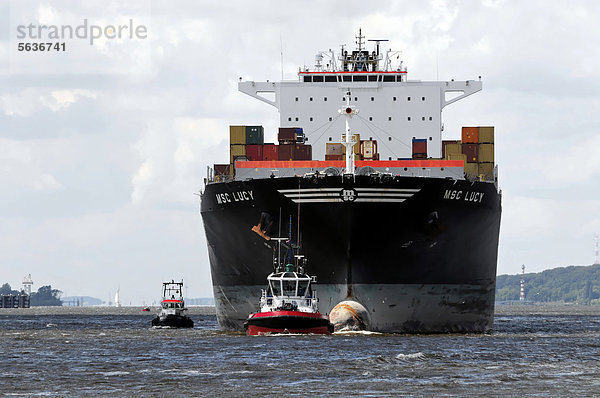 MSC LUCY Containerschiff  Baujahr 2005  324  85m  beim Einlaufen im Hamburger Hafen  Hansestadt Hamburg  Deutschland  Europa