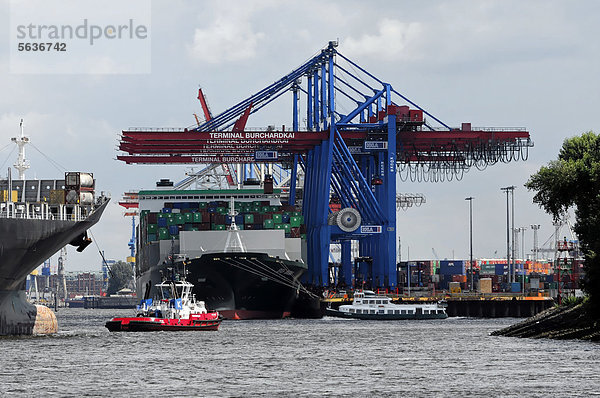 HS BACH Containerschiff Baujahr 2007  246  80m  beim Be- und Entladen  Hamburger Hafen  Hansestadt Hamburg  Deutschland  Europa