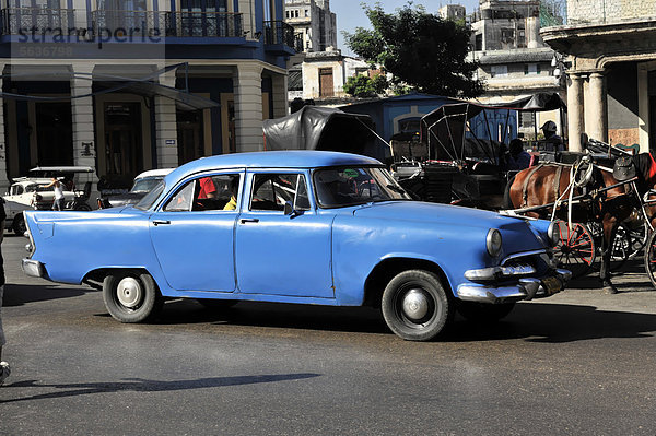 Oldtimer der 50er Jahre im Zentrum von Havanna  Centro Habana  Kuba  Große Antillen  Mittelamerika  Amerika