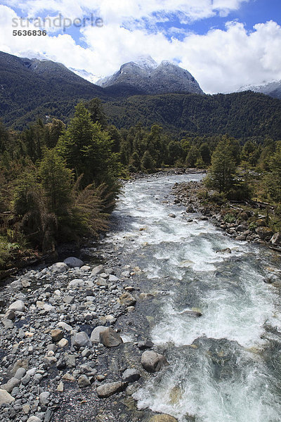 Reißender Bergbach in den patagonischen Anden  Carretera Austral  Ruta CH7  Panamericana Highway  Region de los Lagos  Chile  Südamerika  Amerika