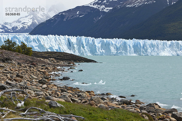 Gletschereis des Perito Moreno Gletschers  Lago Argentino  Region Santa Cruz  Patagonien  Argentinien  Südamerika  Amerika