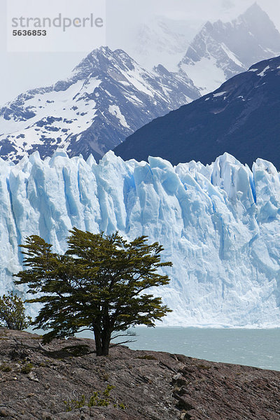 Gletschereis des Perito Moreno Gletschers  Lago Argentino  Region Santa Cruz  Patagonien  Argentinien  Südamerika  Amerika