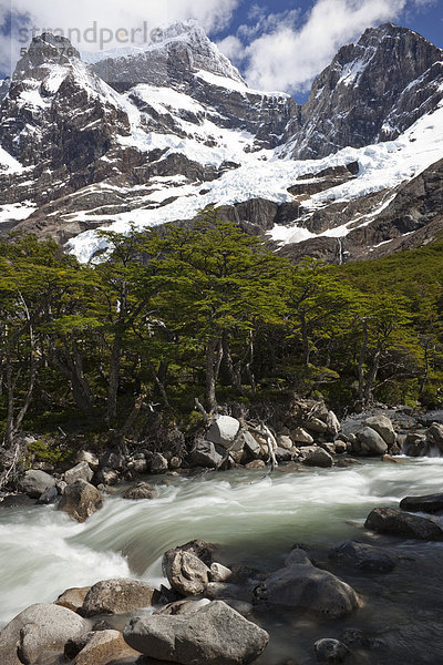 Gletscherfluss im French Valley mit Blick auf den schneebedeckten Berg Cordilera Paine Grande  Nationalpark Torres del Paine  Region Magallanes Antartica  Patagonien  Chile  Südamerika  Amerika