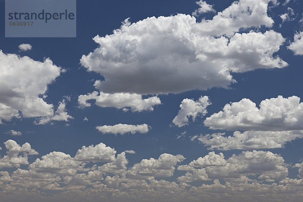 Blauer Himmel mit weißen Wolken  Caleta Olivia  Region Santa Cruz  Argentinien  Südamerika  Amerika