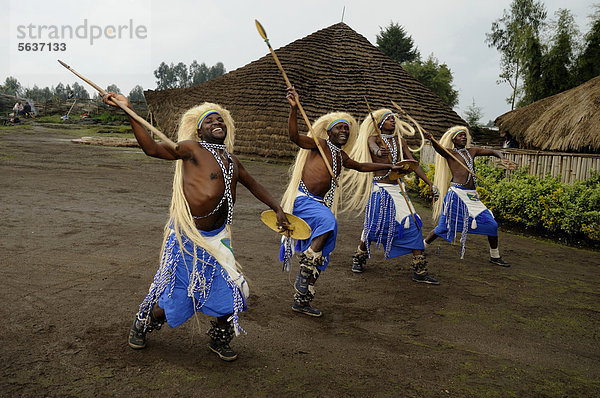 Traditionelle Tänzer bei einer Folklore-Veranstaltung in einem Dorf ehemaliger Jäger bei der Ortschaft Kinigi am Rande des Parc National des Volcans  Ruanda  Afrika