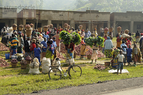 Markt in einem Dorf nahe der Ortschaft Busengo  Ruanda  Afrika