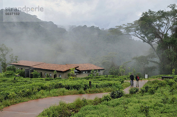 Wald Lodge Landhaus Chalet Afrika Ruanda