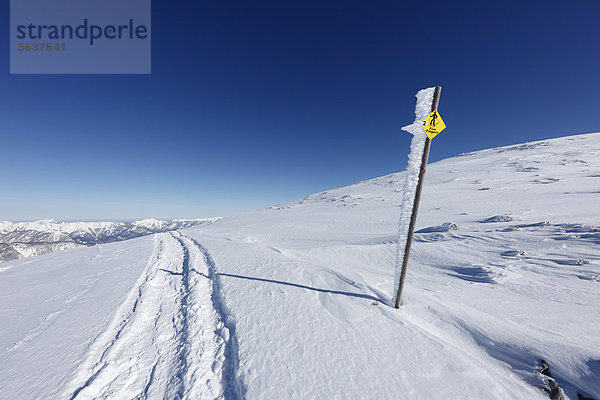 Wegweiser für Schneeschuh-Wanderer zu den Five Fingers auf Krippenstein  Dachsteingebirge  auch Dachstein-Gebirge  Salzkammergut  Oberösterreich  Österreich  Europa