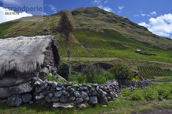 hoch oben Bauernhaus Berg Anden Peru Südamerika