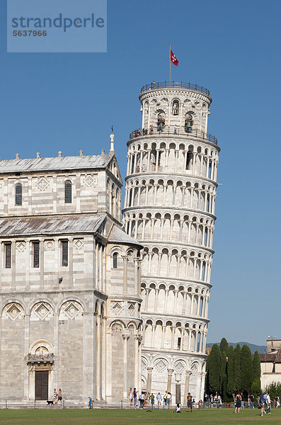 Schiefer Turm von Pisa  Torre Pendente  Piazza dei Miracoli  Piazza del Duomo  Toskana  Italien  Europa