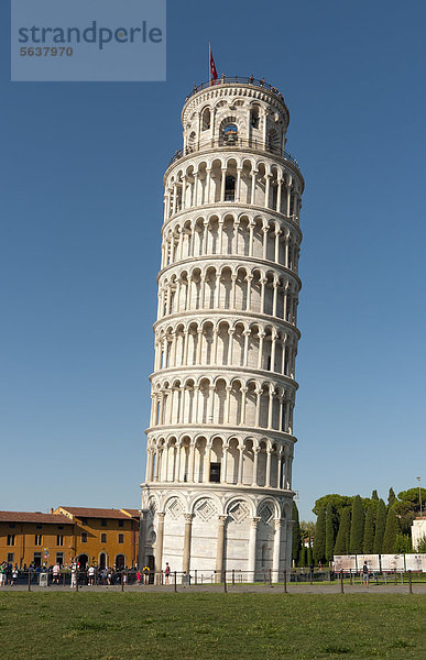 Schiefer Turm von Pisa  Torre Pendente  Piazza dei Miracoli  Piazza del Duomo  Toskana  Italien  Europa