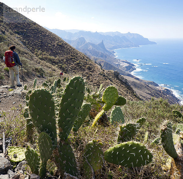 Wanderer oberhalb der Küste von Benijo  Anaga-Gebirge  Anaga  Teneriffa  Nordosten  Kanarische Inseln  Kanaren  Spanien  Europa