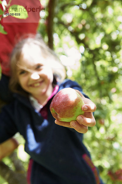 Angebot  lächeln  Baum  Frucht  Mädchen