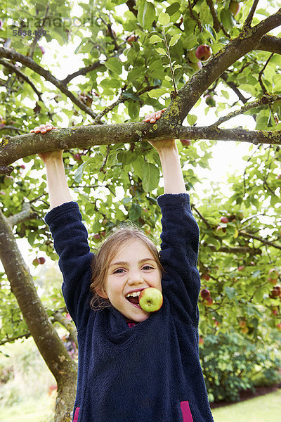 lächeln  Baum  Frucht  Mädchen  spielen