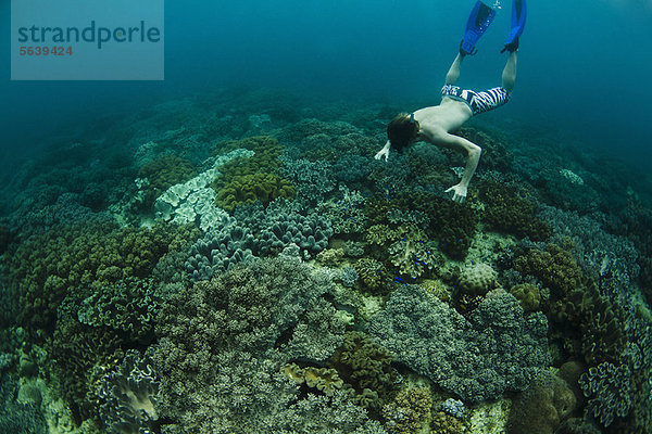 Schnorchler beim Schwimmen im Korallenriff