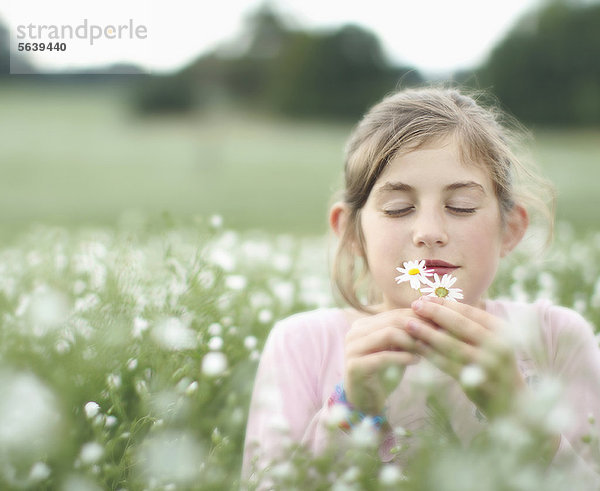 Mädchen riecht Blumen auf der Wiese