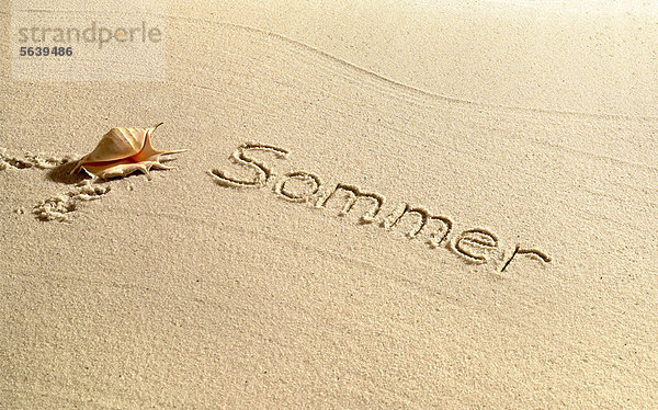 Sommer in Sand geschrieben