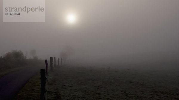 Blick auf eine neblige Landschaft