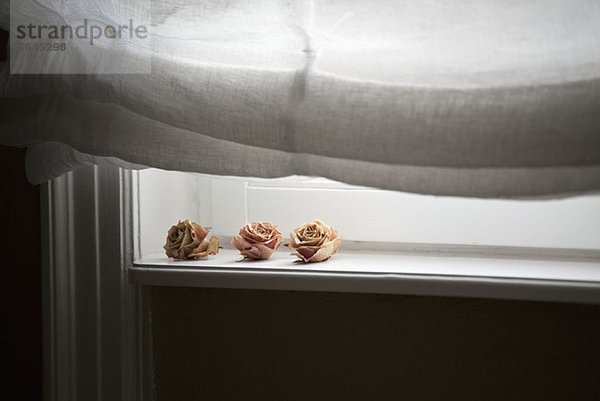 Getrocknete Rosen auf einer Fensterbank