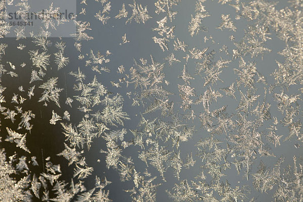 Frost am Fenster