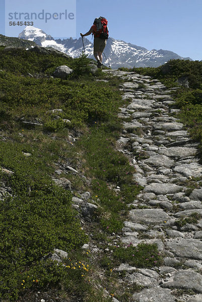 Ein Wanderer auf einem Wanderweg  Kanton Wallis  Schweiz