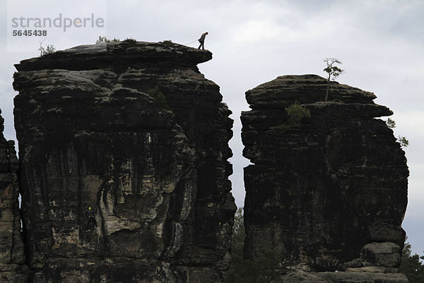 Eine Person  die sich auf das Abseilen einer Felsformation vorbereitet  Sächsische Schweiz  Sachsen  Deutschland