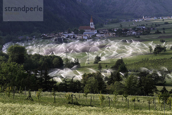 Sprinkleranlagen im Vinschgau  Südtirol  Italien