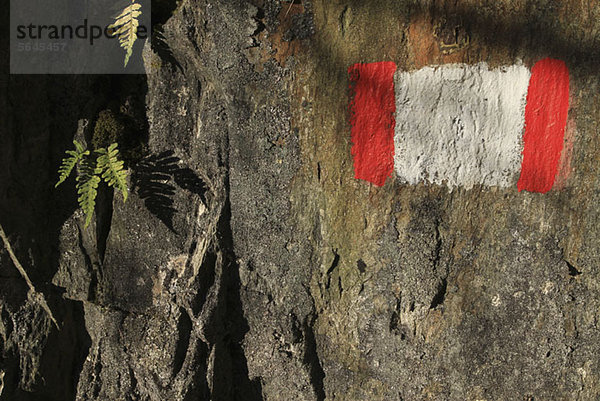 Ein gemaltes Symbol auf einem Felsen  das einen Weg markiert  Nahaufnahme