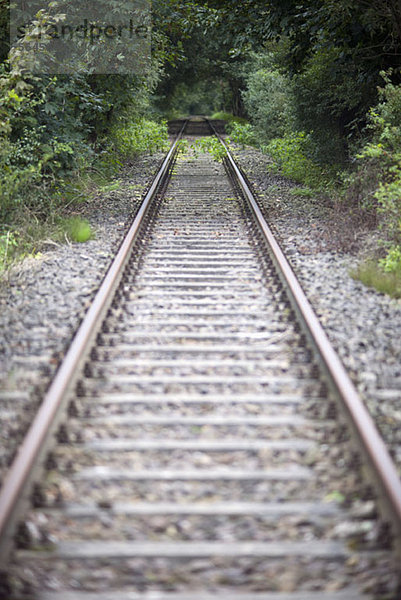 Eisenbahngleise in einem Waldgebiet