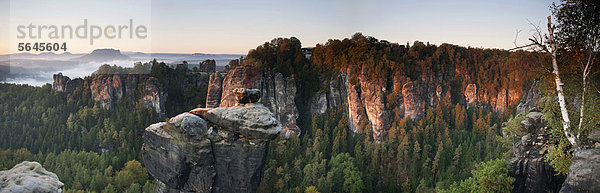 Morgenaufnahme der Bastei  Elbsandsteingebirge  Sächsische Schweiz  Deutschland