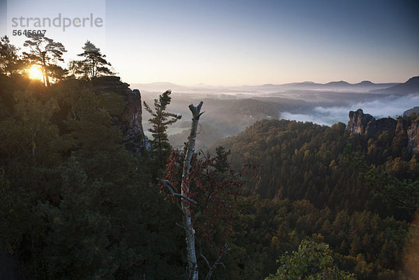 Sonnenaufgang auf der Bastei  Elbsandsteingebirge  Nationalpark Sächsische Schweiz