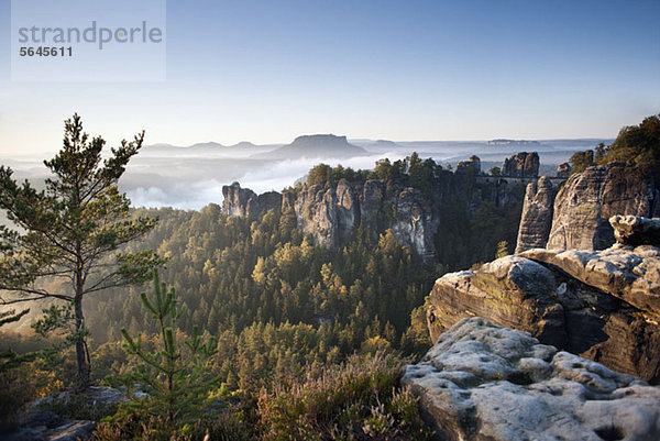 Vormittag an der Bastei  Elbsandsteingebirge  Nationalpark Sächsische Schweiz  Deutschland