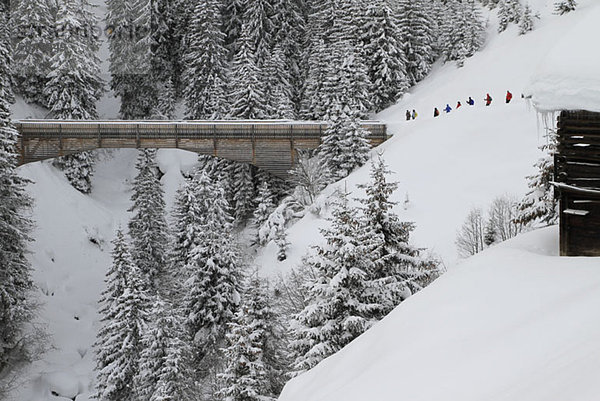 Gruppe von Leuten  die kurz davor sind  die Brücke zu überqueren.