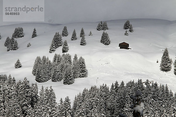 Winterchalet inmitten der Bäume auf einem verschneiten Hügel