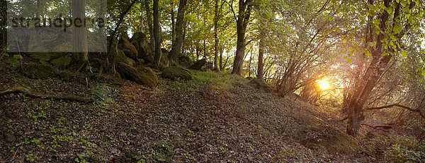 Giant's Grave (Huenengrab) in Hessen  Germany