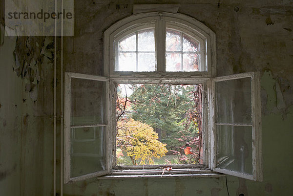 Ein offenes Fenster in einem verlassenen Gebäude  Beelitz-Heilstätten  Deutschland