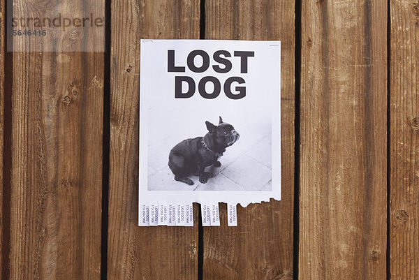 Ein verlorener Hundezettel auf einem Holzgitter