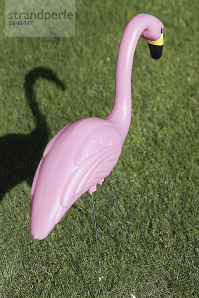 Ein rosa Plastikflamingo im Rasen  Nahaufnahme