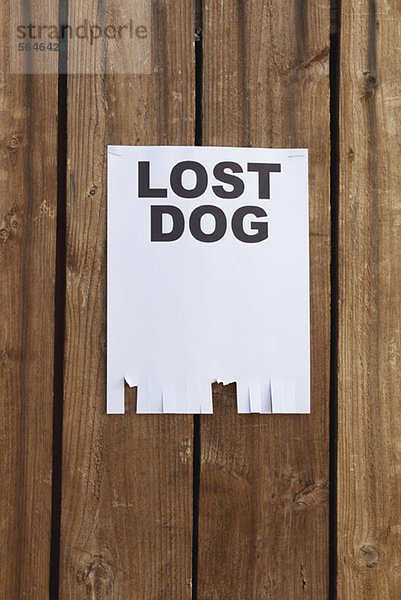 Ein Flyer auf einem Holzzaun mit der Aufschrift LOST DOG.
