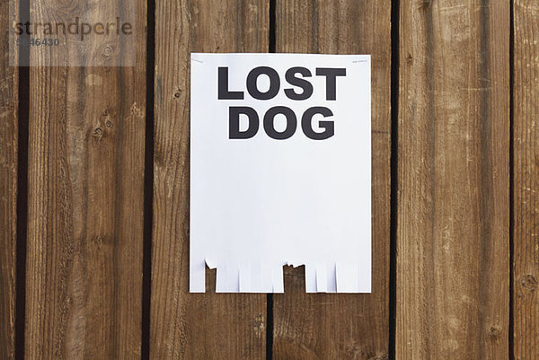 Ein Flyer auf einem Holzzaun mit der Aufschrift LOST DOG.