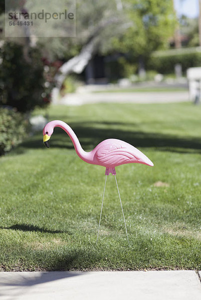 Ein rosa Plastikflamingo im Rasen  Nahaufnahme