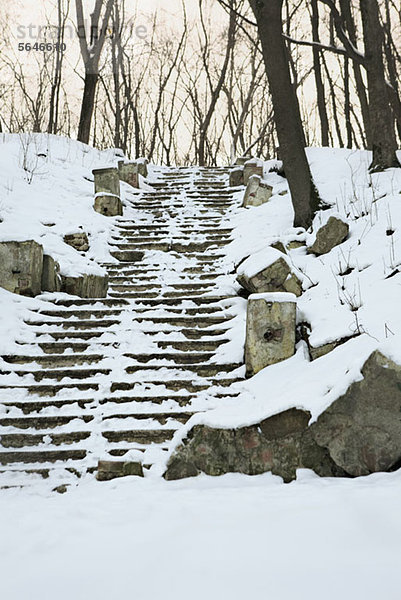 Snowy steps